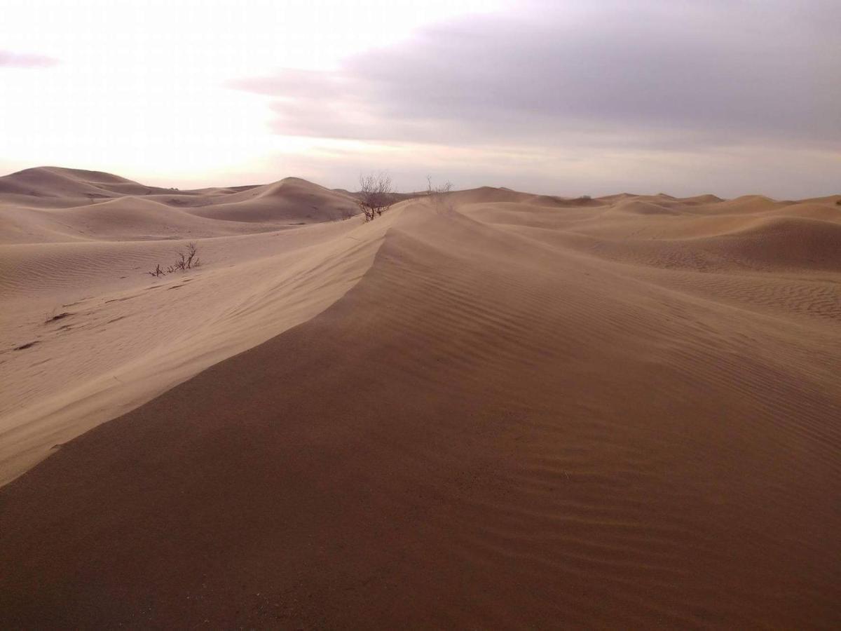 Tinfou Desert Camp Brija Dış mekan fotoğraf