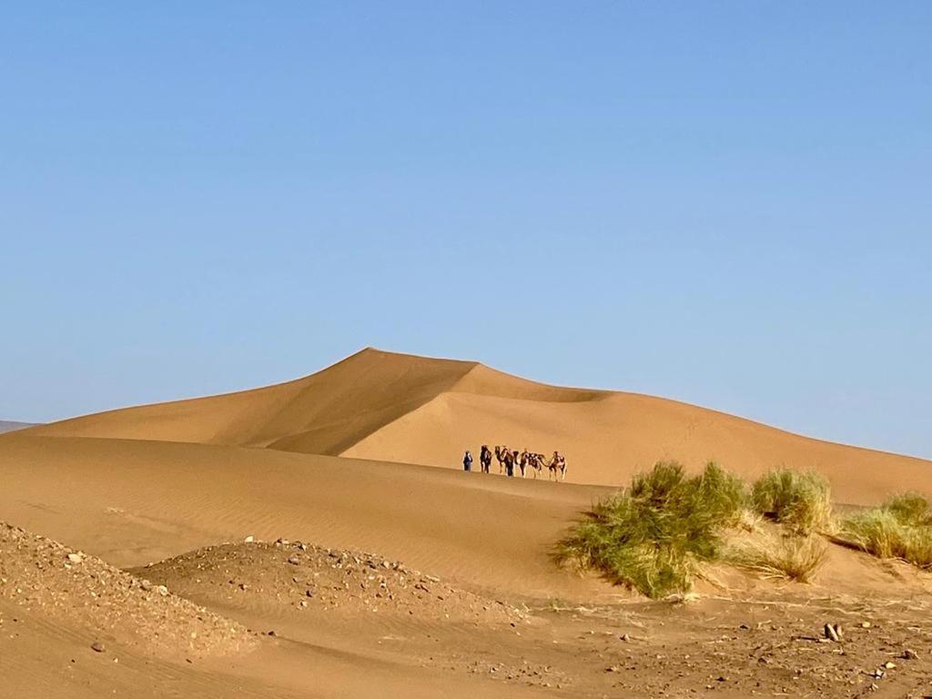 Tinfou Desert Camp Brija Dış mekan fotoğraf