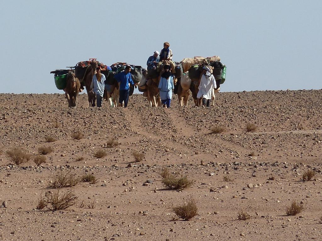 Tinfou Desert Camp Brija Dış mekan fotoğraf